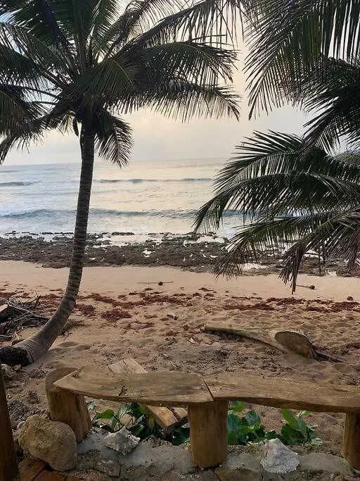 Ocean Front Villa, 2 Private Pools, Bbq, Tennis Court And More! Vega Baja 0*,  Porto Rico