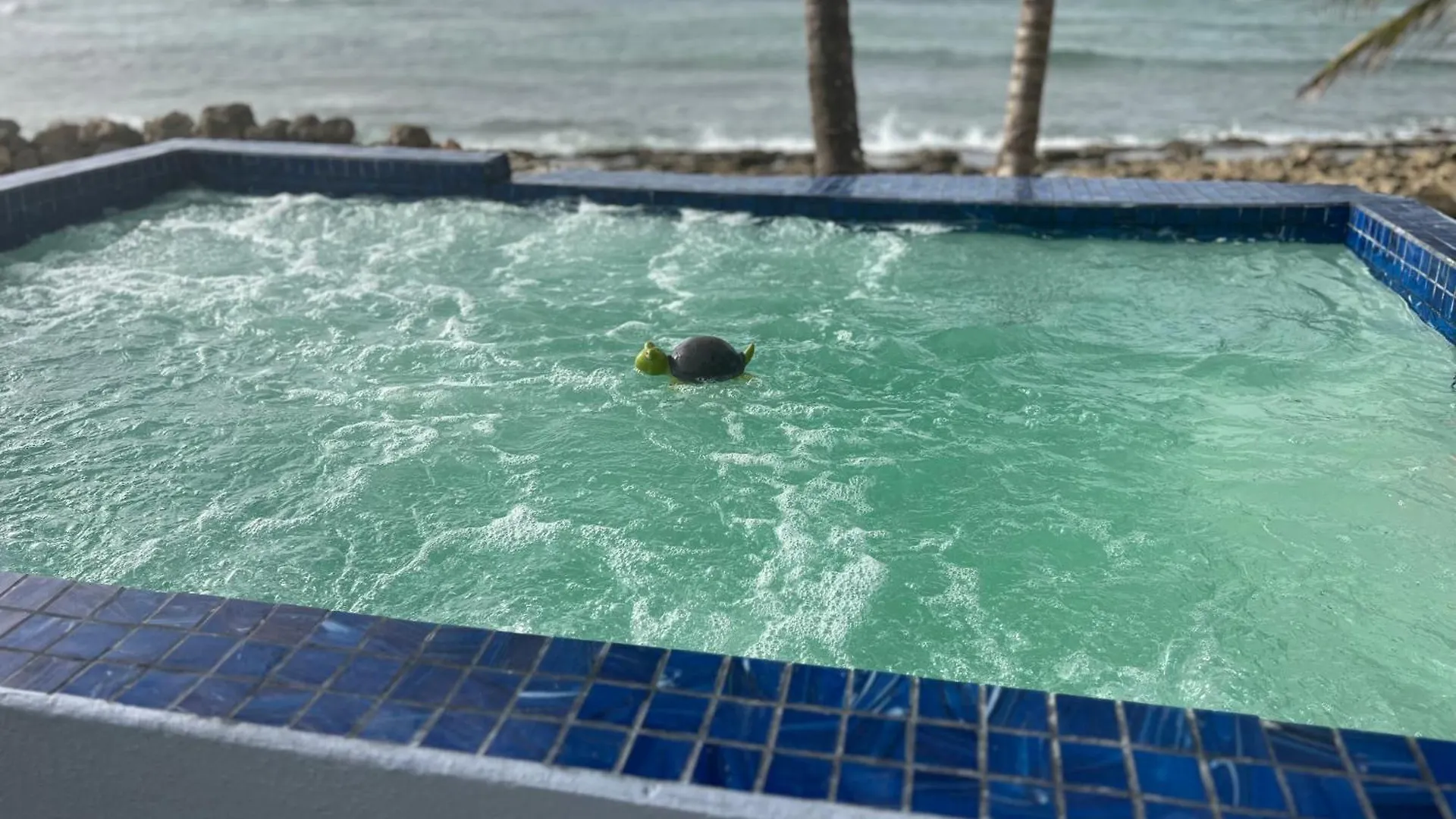 Ocean Front Villa, 2 Private Pools, Bbq, Tennis Court And More! Vega Baja